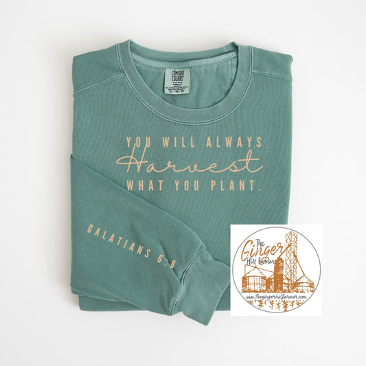 Harvest What You Plant Sweatshirt | Sizes Small-3X
