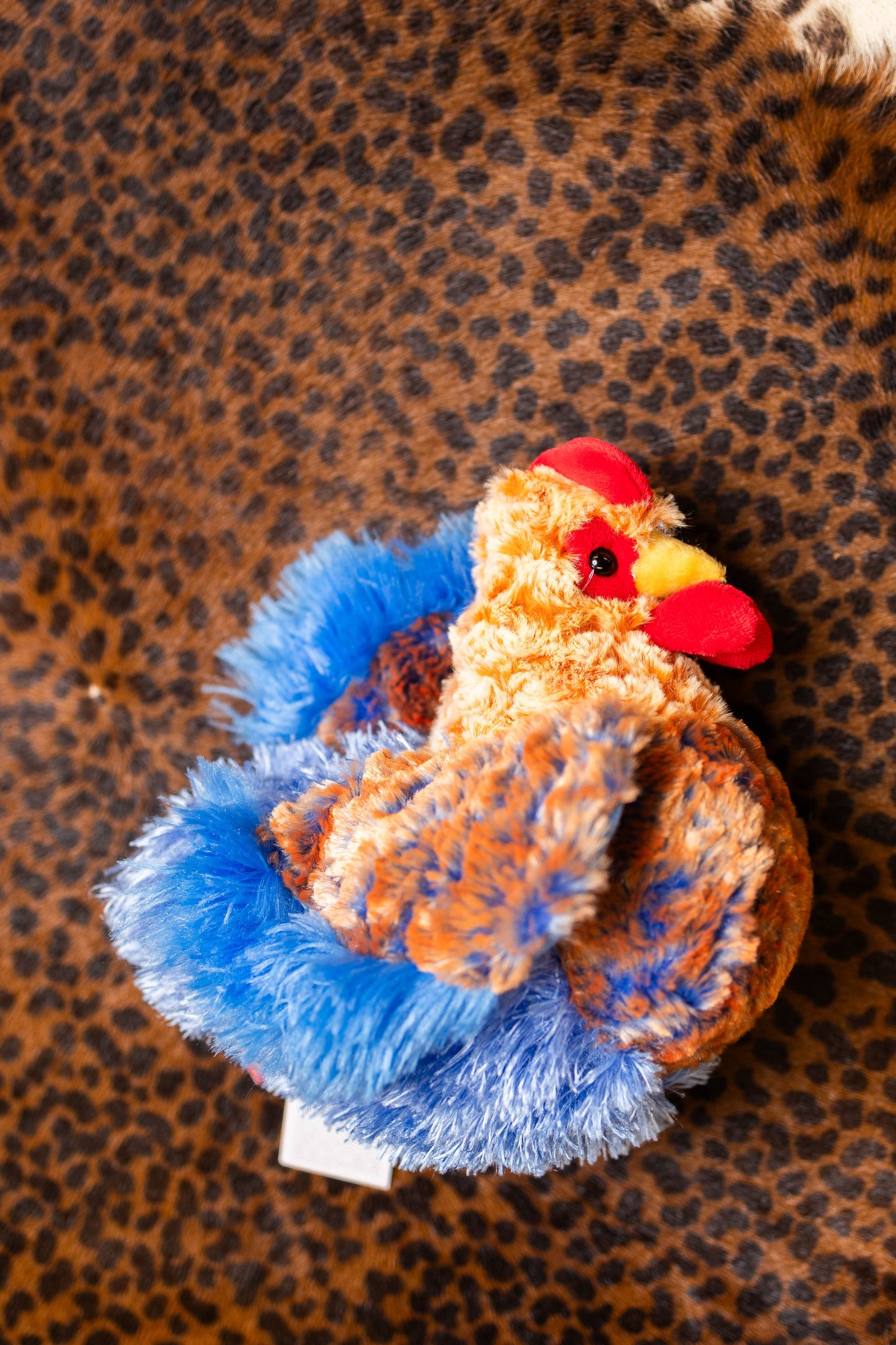 side view of hen