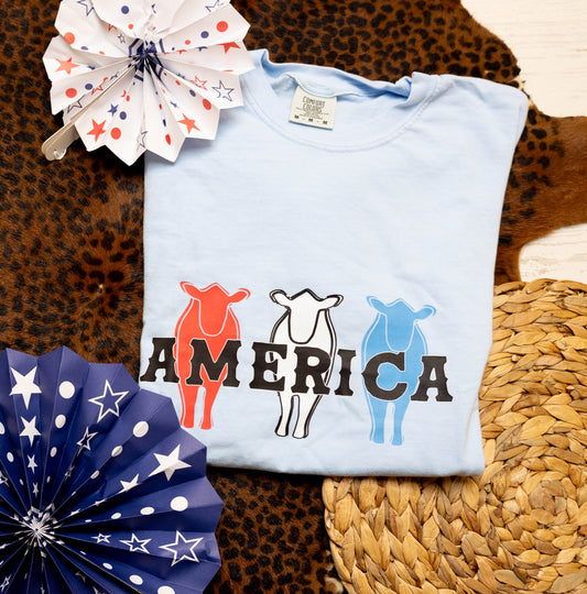 America Cattle Graphic Tee, Long Sleeve Tee or Sweatshirt | Sizes Small-3XL