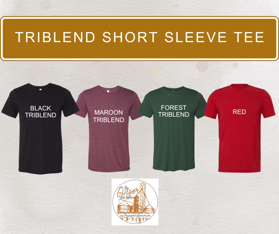 triblend short sleeve color assortment