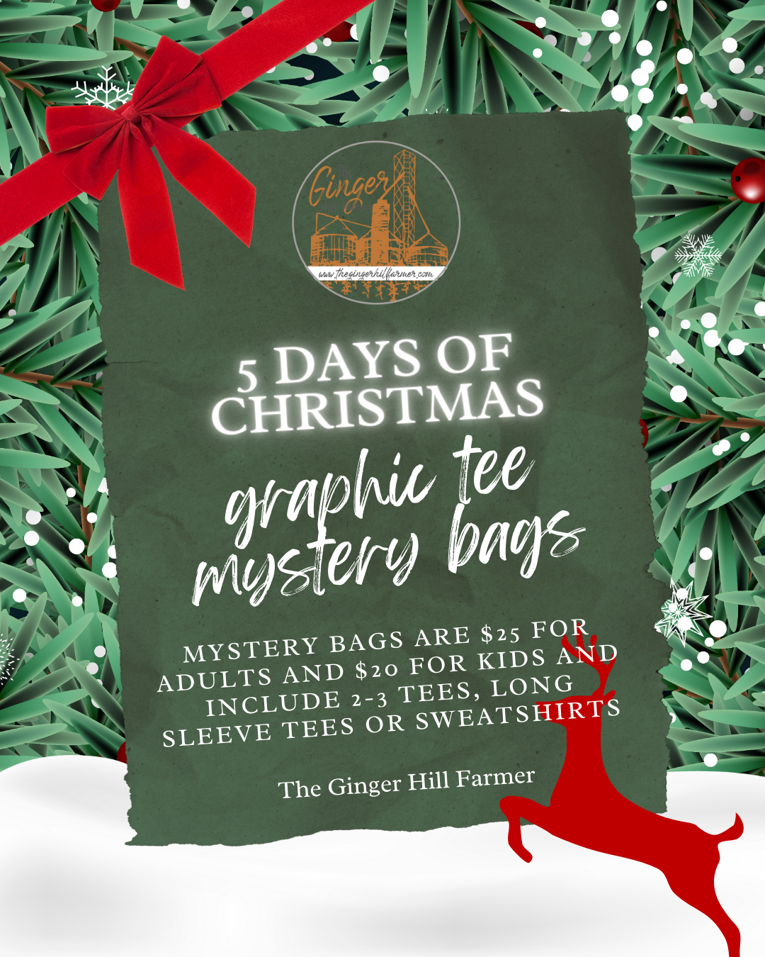 2025 Graphic Tee Mystery Bags