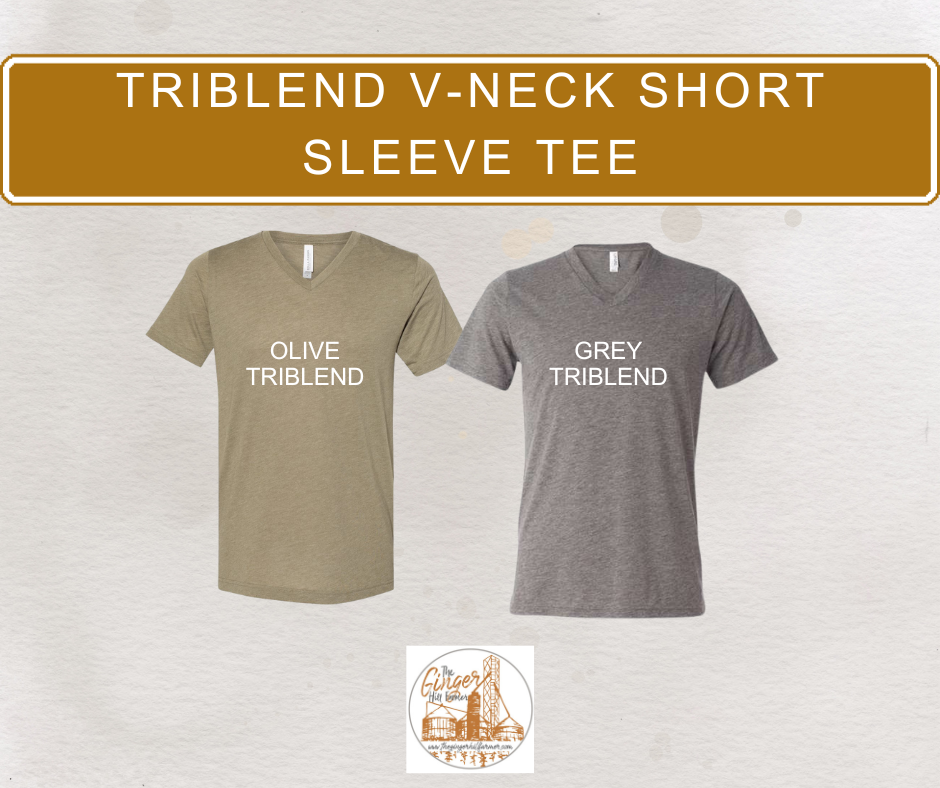 vneck triblend short sleeve color assortment