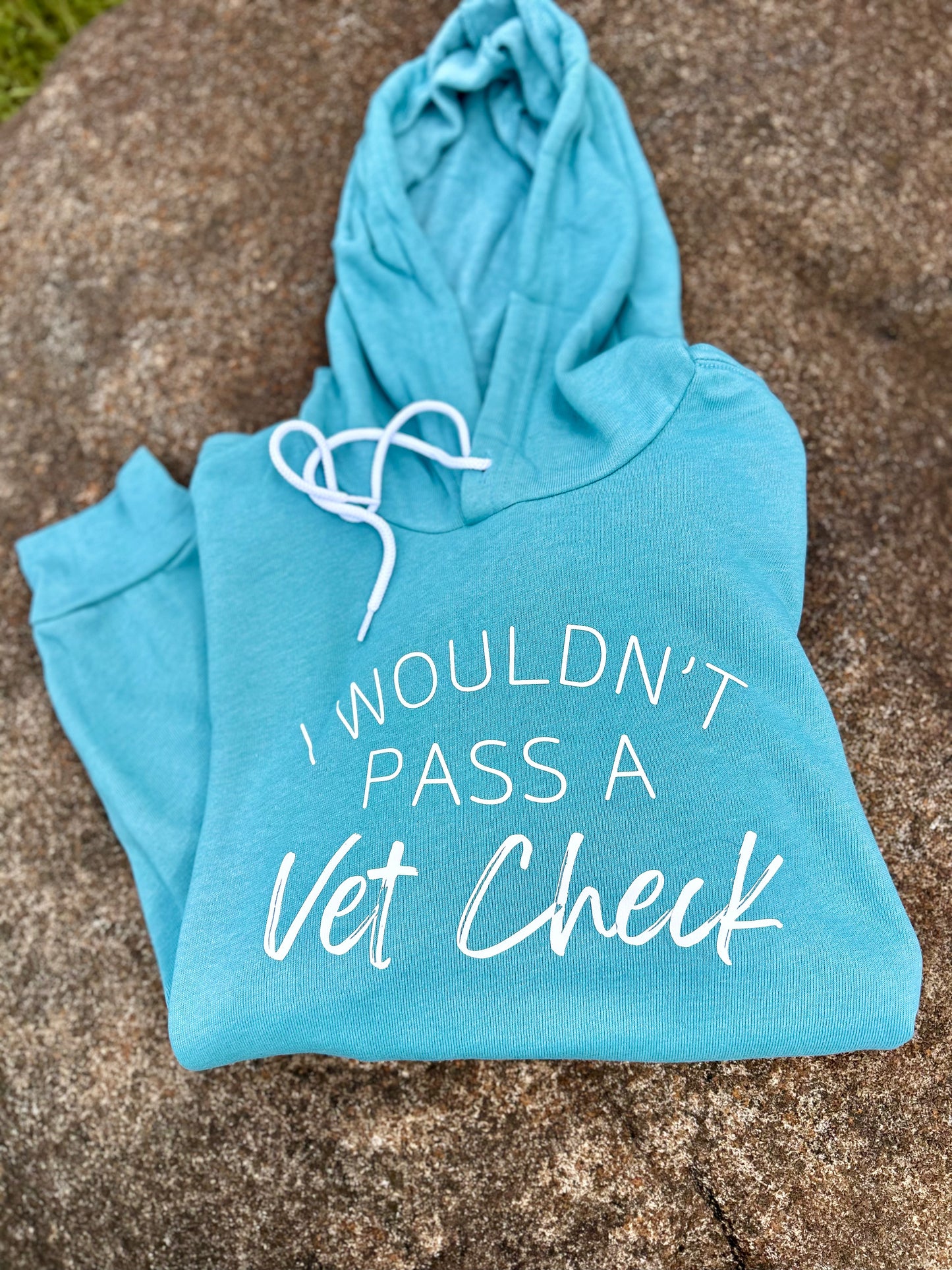 Blue hoodie with 'I Wouldn't Pass a Vet Check' text on a stone surface