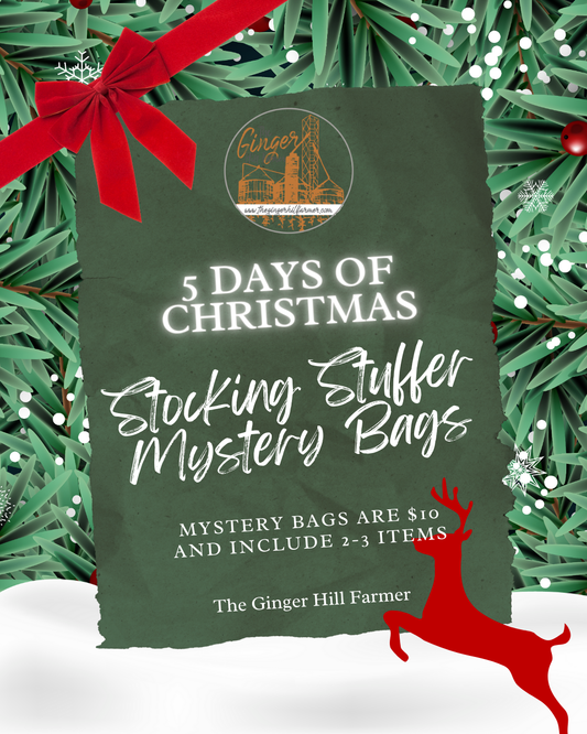 2025 Stocking Stuffer Mystery Bag