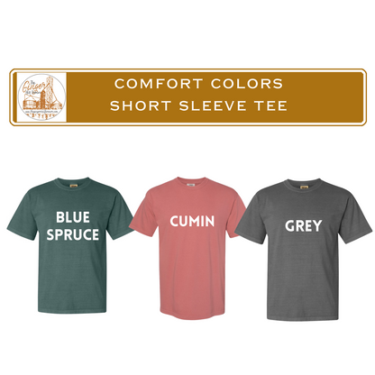 comfort colors short sleeve assortment