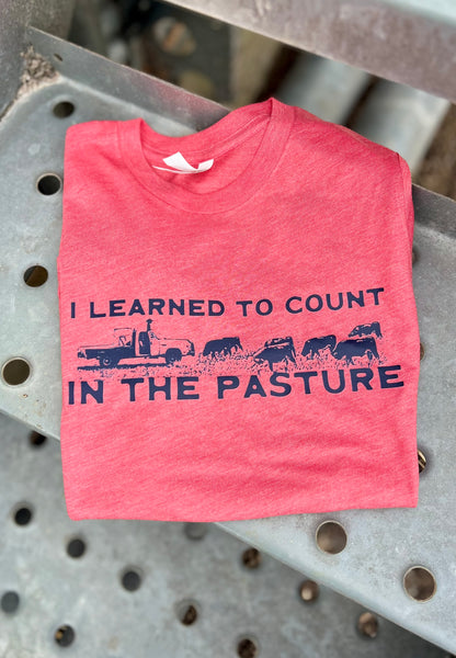 I Learned to Count Kids Graphic Onesie, Short Sleeve and Long Sleeve T-Shirt | Sizes Small-XL