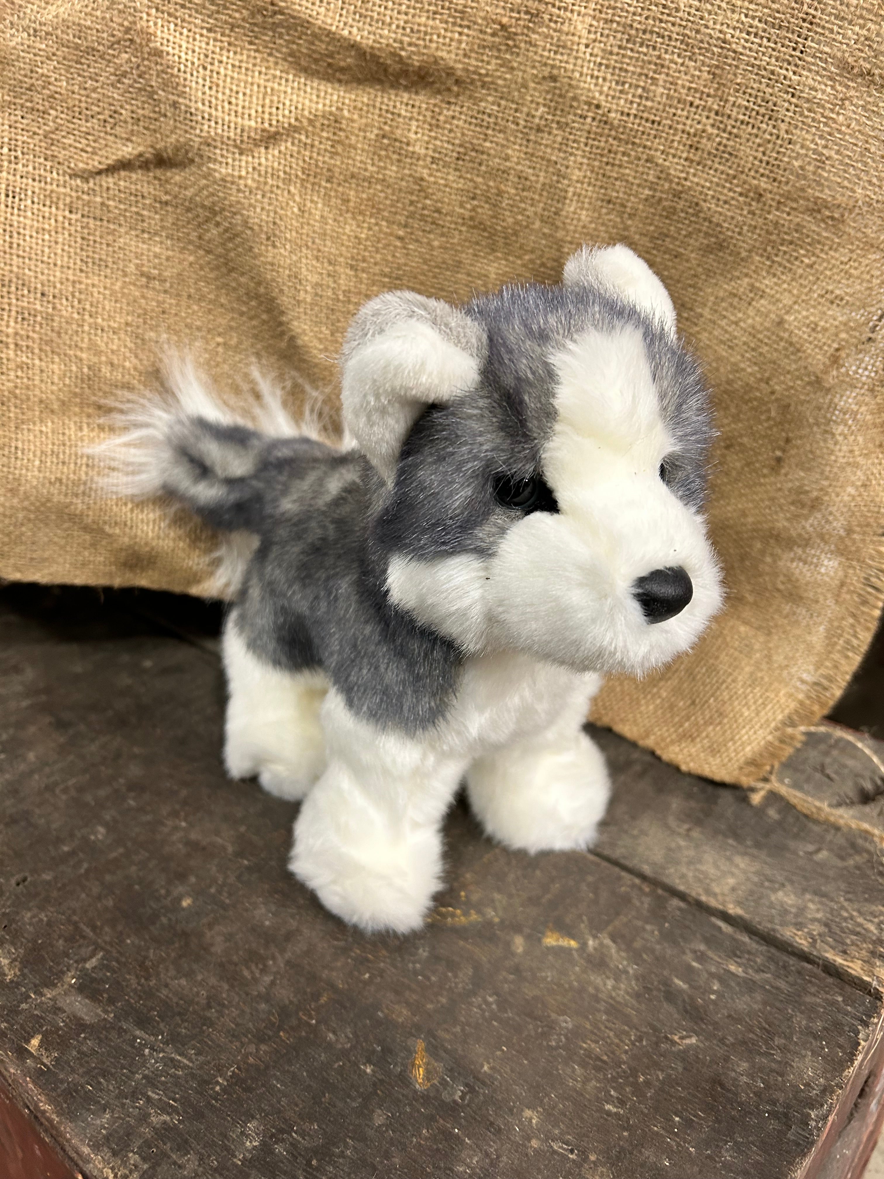 Blaze Husky The Ginger Hill Farmer, LLC