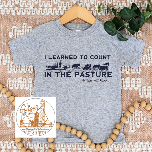 Gray t-shirt with 'I learned to count in the pasture' text on a textured surface with decorative elements.