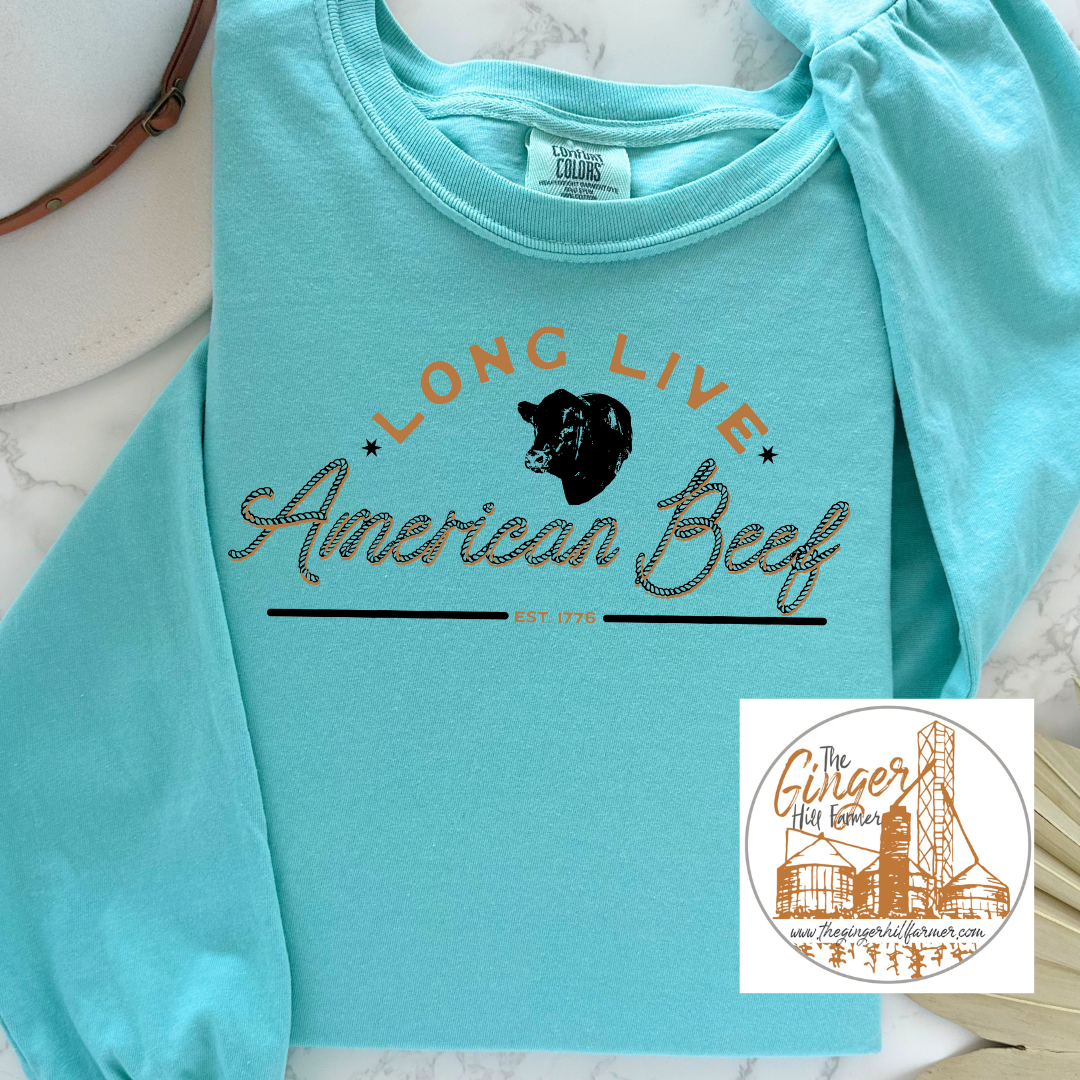 Turquoise sweatshirt with 'Long Live American Beef' text and bear graphic on a marble surface.