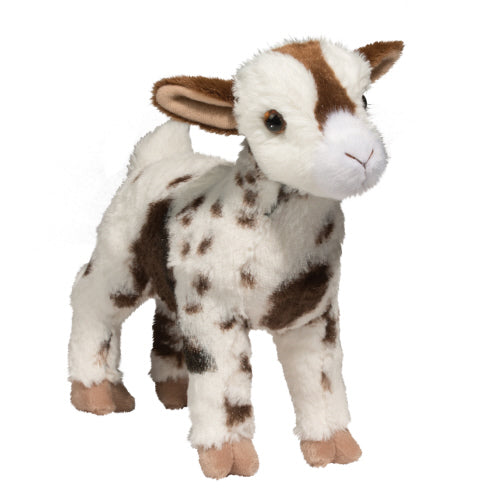 gerti goat front view